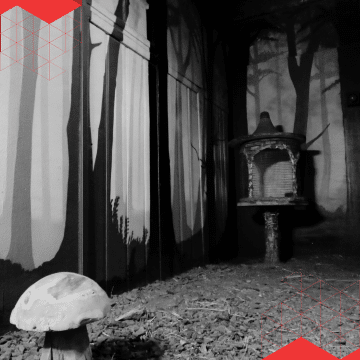 teambuilding Oost-Vlaanderen / West-Vlaanderen